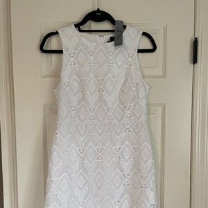 Ann Taylor Dress